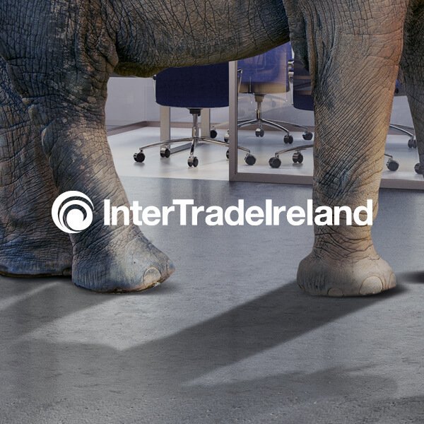 InterTradeIreland} INTERTRADEIRELAND